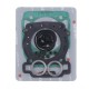 Kit garnituri motor TOPEND ATHENA P400089600002