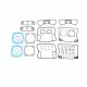 Kit garnituri motor TOPEND ATHENA P400195600901
