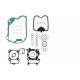 Kit garnituri motor TOPEND ATHENA P400210600321