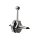 Crankshaft RMS 100012010 Crankshaft RMS 100012010