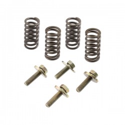 Clutch springs and screws kit RMS 121950150 Clutch springs and screws kit RMS 121950150