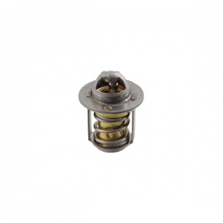Termostat RMS 100120790 Termostat RMS 100120790
