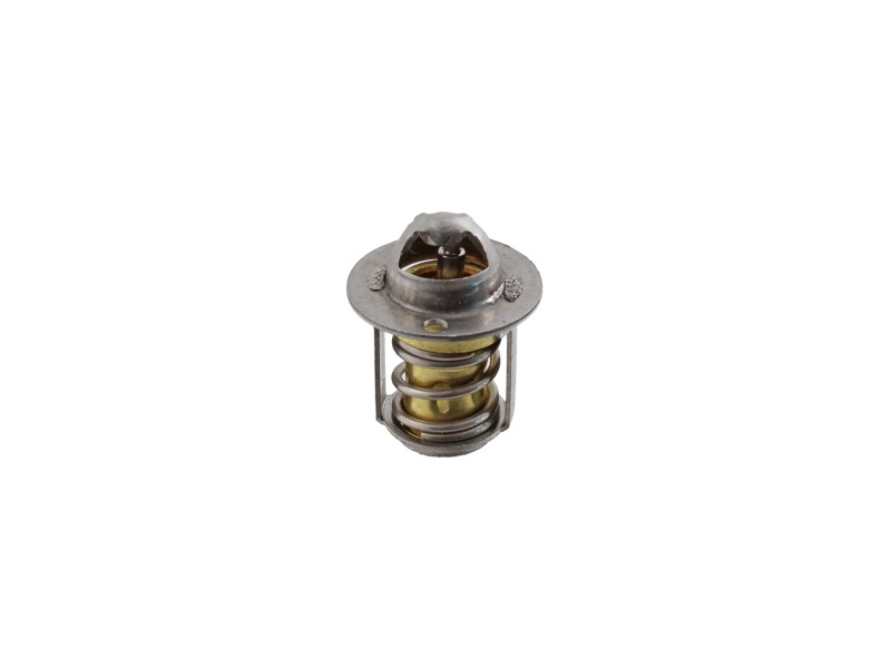 Termostat RMS 100120790 Termostat RMS 100120790