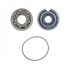 Crankshaft service kit RMS 100201540 Crankshaft service kit RMS 100201540