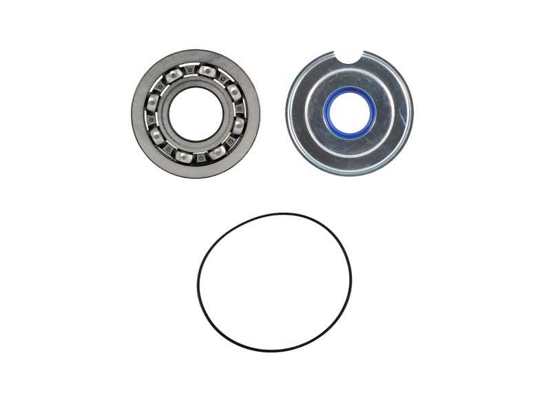 Crankshaft service kit RMS 100201540