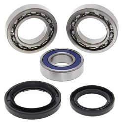 Differential Kit All Balls Racing DB25-2129 Differential Kit All Balls Racing DB25-2129