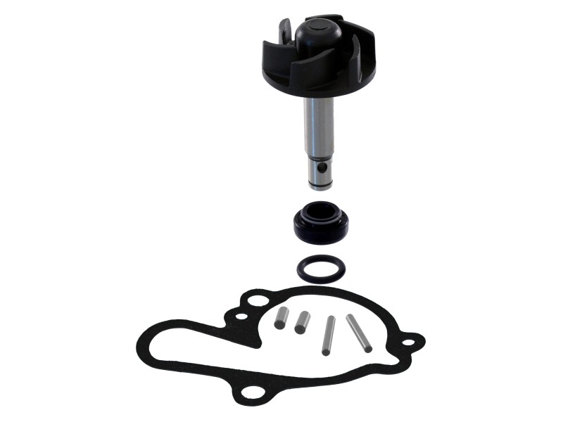 Kit reparatie pompa de apa RMS 100110081 Kit reparatie pompa de apa RMS 100110081