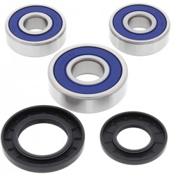 Kit rulmenti si garnituri roata All Balls Racing WB25-1546 Kit rulmenti si garnituri roata All Balls Racing WB25-1546