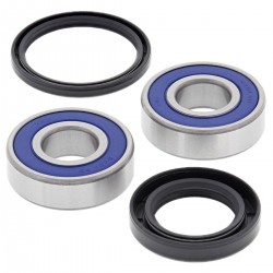 Kit rulmenti si garnituri roata All Balls Racing WB25-1601 Kit rulmenti si garnituri roata All Balls Racing WB25-1601
