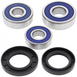 Kit rulmenti si garnituri roata All Balls Racing WB25-1603 Kit rulmenti si garnituri roata All Balls Racing WB25-1603