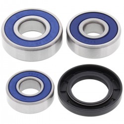 Kit rulmenti si garnituri roata All Balls Racing WB25-1607 Kit rulmenti si garnituri roata All Balls Racing WB25-1607