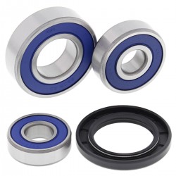 Kit rulmenti si garnituri roata All Balls Racing WB25-1608 Kit rulmenti si garnituri roata All Balls Racing WB25-1608
