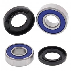 Kit rulmenti si garnituri roata All Balls Racing WB25-1611 Kit rulmenti si garnituri roata All Balls Racing WB25-1611