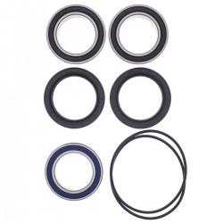 Kit rulmenti si garnituri roata All Balls Racing WB25-1620 upgrade Kit rulmenti si garnituri roata All Balls Racing WB25-1620 upgrade