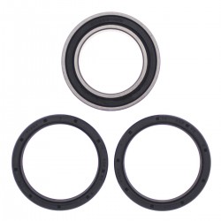 Kit rulmenti si garnituri roata All Balls Racing WB25-1630 upgrade Kit rulmenti si garnituri roata All Balls Racing WB25-1630 upgrade