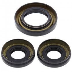 Differential Seal Only Kit All Balls Racing DB25-2001-5 Differential Seal Only Kit All Balls Racing DB25-2001-5