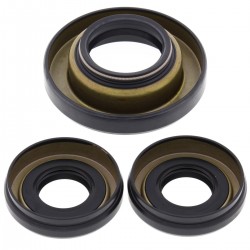 Differential Seal Only Kit All Balls Racing DB25-2004-5 Differential Seal Only Kit All Balls Racing DB25-2004-5