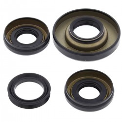 Differential Seal Only Kit All Balls Racing DB25-2006-5 Differential Seal Only Kit All Balls Racing DB25-2006-5