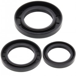 Differential Seal Only Kit All Balls Racing DB25-2020-5 Differential Seal Only Kit All Balls Racing DB25-2020-5