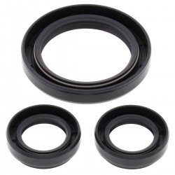 Differential Seal Only Kit All Balls Racing DB25-2028-5 Differential Seal Only Kit All Balls Racing DB25-2028-5