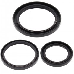 Differential Seal Only Kit All Balls Racing DB25-2030-5 Differential Seal Only Kit All Balls Racing DB25-2030-5