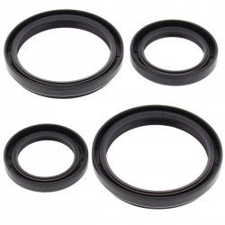 Differential Seal Only Kit All Balls Racing DB25-2050-5 Differential Seal Only Kit All Balls Racing DB25-2050-5