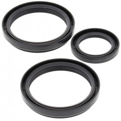 Differential Seal Only Kit All Balls Racing DB25-2051-5 Differential Seal Only Kit All Balls Racing DB25-2051-5