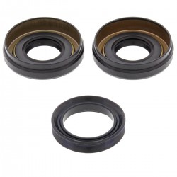 Differential Seal Only Kit All Balls Racing DB25-2060-5 Differential Seal Only Kit All Balls Racing DB25-2060-5
