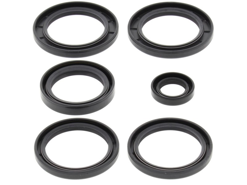 Differential Seal Only Kit All Balls Racing DB25-2062-5 Differential Seal Only Kit All Balls Racing DB25-2062-5