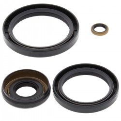 Differential Seal Only Kit All Balls Racing DB25-2066-5 Differential Seal Only Kit All Balls Racing DB25-2066-5