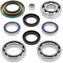 Kit rulmenti si garnituri diferential All Balls Racing DB25-2068 Kit rulmenti si garnituri diferential All Balls Racing DB25-2068