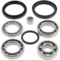 Kit rulmenti si garnituri diferential All Balls Racing DB25-2072 Kit rulmenti si garnituri diferential All Balls Racing DB25-2072