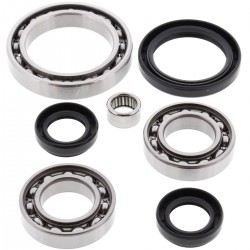 Kit rulmenti si garnituri diferential All Balls Racing DB25-2073 Kit rulmenti si garnituri diferential All Balls Racing DB25-2073