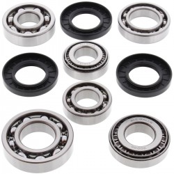 Kit rulmenti si garnituri diferential All Balls Racing DB25-2074 Kit rulmenti si garnituri diferential All Balls Racing DB25-2074
