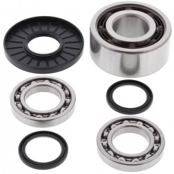 Kit rulmenti si garnituri diferential All Balls Racing DB25-2075 Kit rulmenti si garnituri diferential All Balls Racing DB25-2075