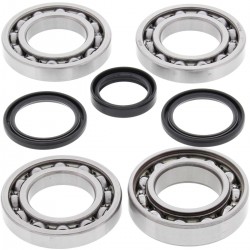 Kit rulmenti si garnituri diferential All Balls Racing DB25-2076 Kit rulmenti si garnituri diferential All Balls Racing DB25-2076