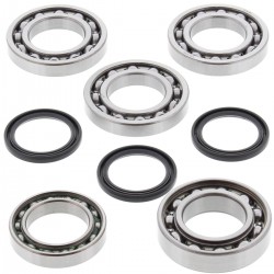 Kit rulmenti si garnituri diferential All Balls Racing DB25-2077 Kit rulmenti si garnituri diferential All Balls Racing DB25-2077