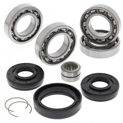 Kit rulmenti si garnituri diferential All Balls Racing DB25-2078 Kit rulmenti si garnituri diferential All Balls Racing DB25-2078