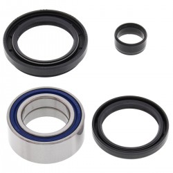 Kit rulmenti si garnituri roata All Balls Racing WB25-1003 Kit rulmenti si garnituri roata All Balls Racing WB25-1003