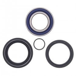Kit rulmenti si garnituri roata All Balls Racing WB25-1004 Kit rulmenti si garnituri roata All Balls Racing WB25-1004