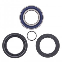 Kit rulmenti si garnituri roata All Balls Racing WB25-1005 Kit rulmenti si garnituri roata All Balls Racing WB25-1005