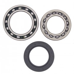 Kit rulmenti si garnituri roata All Balls Racing WB25-1010 Kit rulmenti si garnituri roata All Balls Racing WB25-1010
