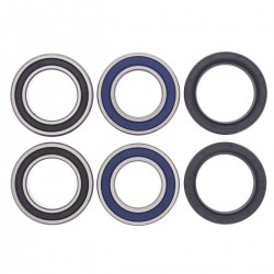 Kit rulmenti si garnituri roata All Balls Racing WB25-1019 Kit rulmenti si garnituri roata All Balls Racing WB25-1019