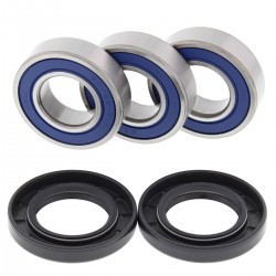 Kit rulmenti si garnituri roata All Balls Racing WB25-1021 Kit rulmenti si garnituri roata All Balls Racing WB25-1021