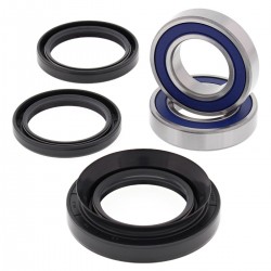 Kit rulmenti si garnituri roata All Balls Racing WB25-1029 Kit rulmenti si garnituri roata All Balls Racing WB25-1029