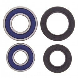 Kit rulmenti si garnituri roata All Balls Racing WB25-1035 Kit rulmenti si garnituri roata All Balls Racing WB25-1035