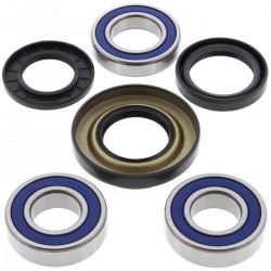 Kit rulmenti si garnituri roata All Balls Racing WB25-1037 Kit rulmenti si garnituri roata All Balls Racing WB25-1037