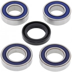 Kit rulmenti si garnituri roata All Balls Racing WB25-1051 Kit rulmenti si garnituri roata All Balls Racing WB25-1051