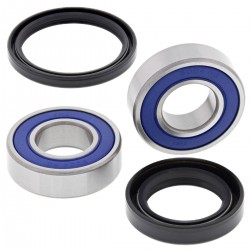 Kit rulmenti si garnituri roata All Balls Racing WB25-1071 Kit rulmenti si garnituri roata All Balls Racing WB25-1071