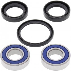 Kit rulmenti si garnituri roata All Balls Racing WB25-1077 Kit rulmenti si garnituri roata All Balls Racing WB25-1077